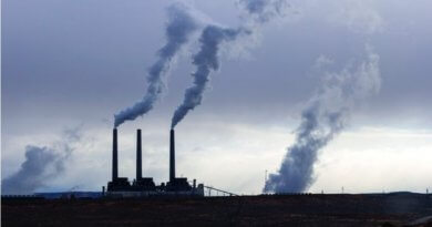 Incinerators in the dock Incinerators 2020