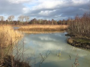 Aston & Neumanns Flashes Northwich